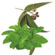 Eucalyptus Spearmint (PEAK)