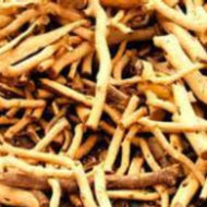 Asian Sandalwood (PEAK)