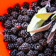 Blackberry Sage (PEAK)