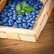 WILD BLUEBERRY