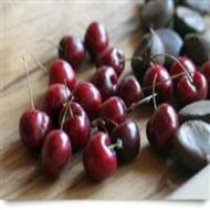 Cherries In The Snow