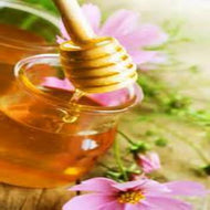 Wild Mountain Honey (PEAK)