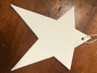 Star air freshener blanks