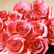 Rose Bouquet (PEAK)