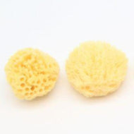 Yellow Sea Sponge