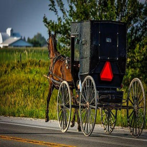 Amish Harvest (PEAK)