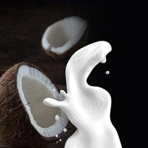 Coconut Milk (Keystone & Peak Versions are the same)