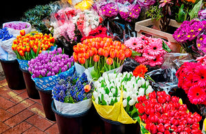 Flower Market  NEW!!