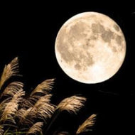 Harvest Moon (Peak)