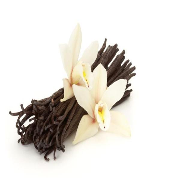 Victorian Vanilla – Keystone Candle Supply