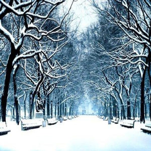 Winter Wonderland (PEAK)